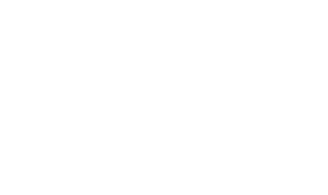 Sanvi Exim Logo